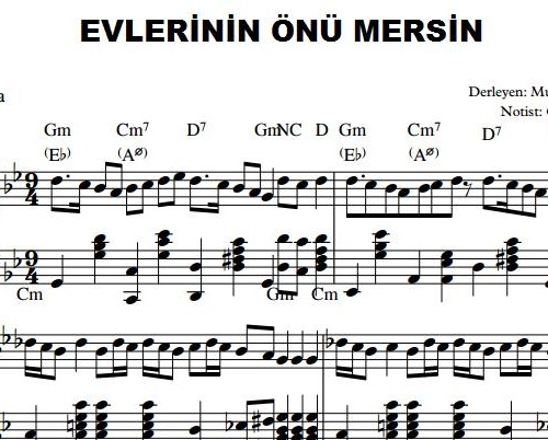 evlerinin_onu_mersin-piyano-nota-2